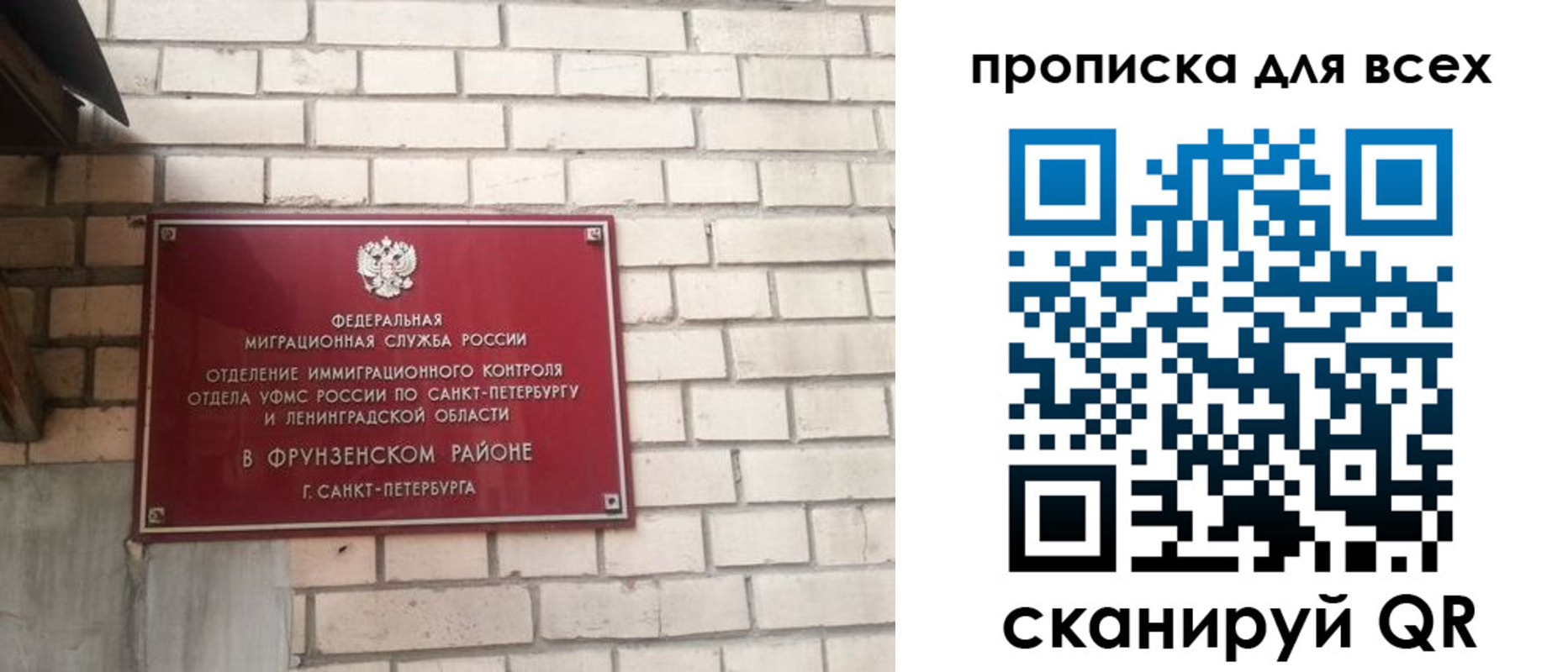 прописка 2025 в Димитровграде
