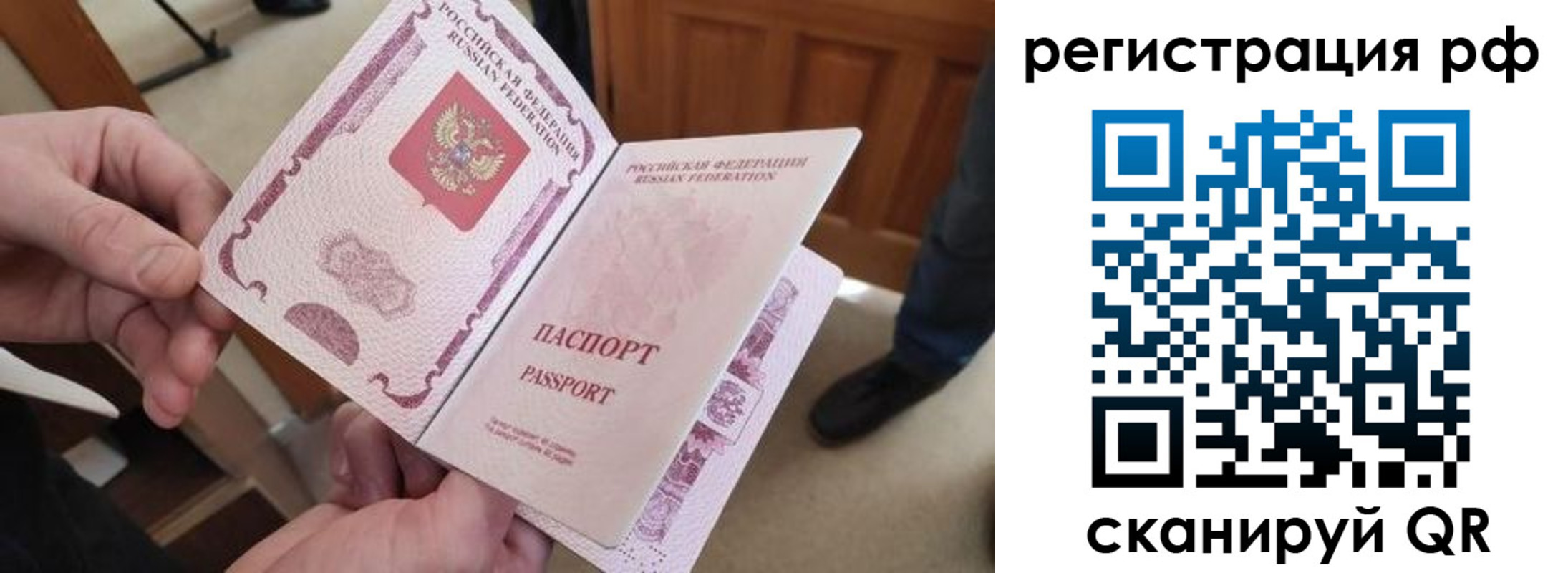 прописка паспорт в Димитровграде